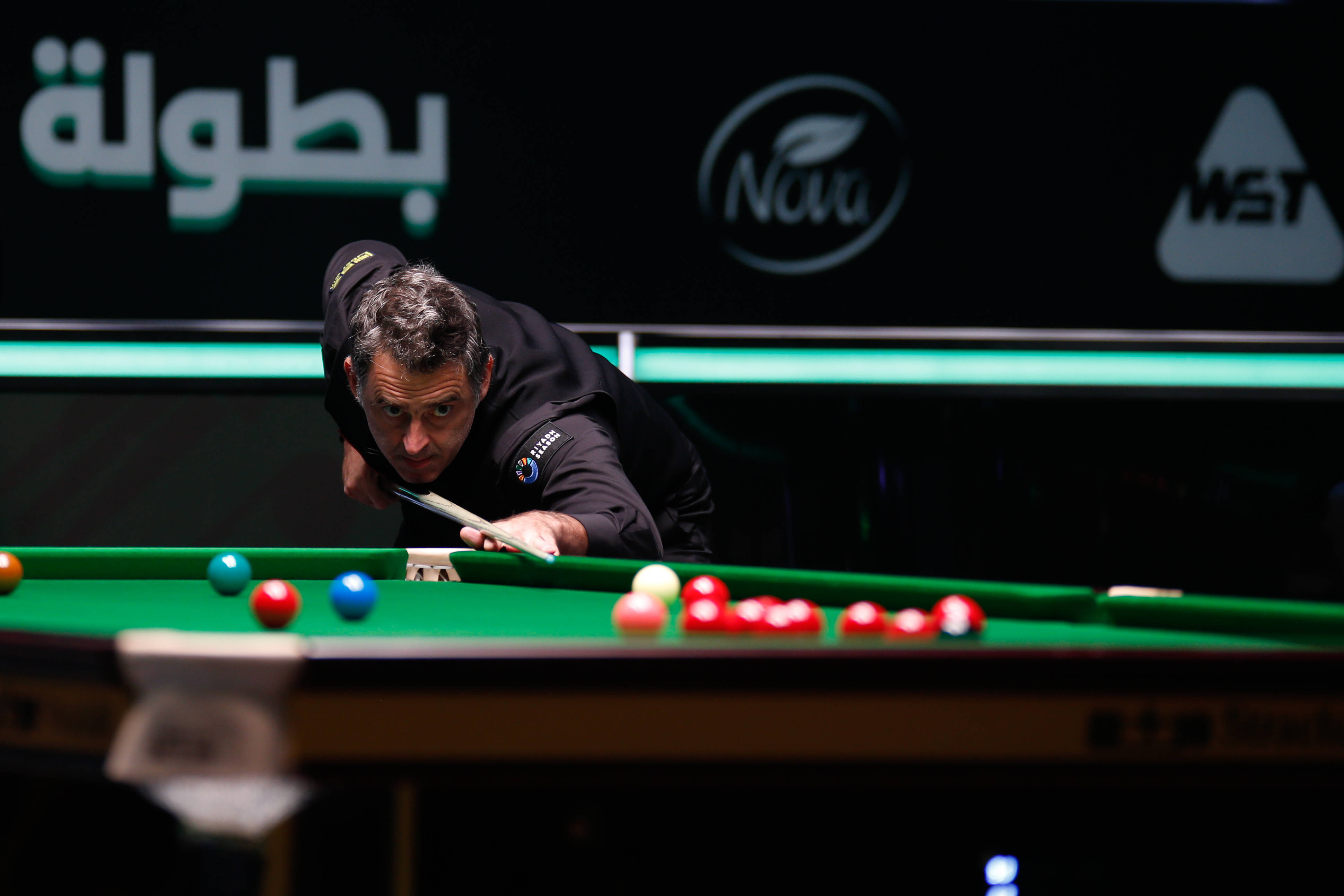 沧州雄狮的 沧州雄狮的